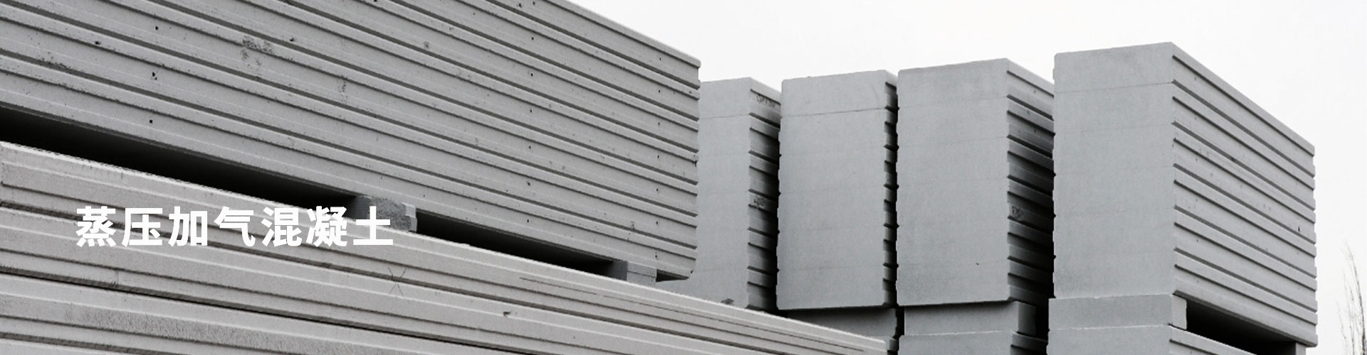 九洲国际官网(中国区)股份有限公司